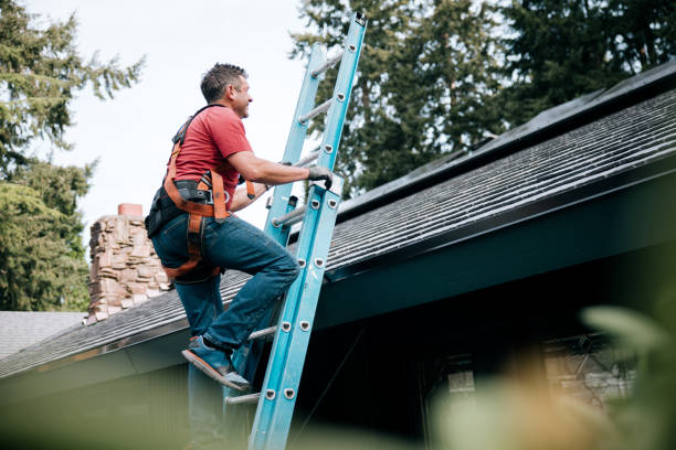 Fast & Reliable Emergency Roof Repairs in Bainbridge Island, WA